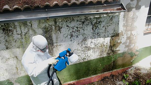 Top rated local Mold Inspection And Testing specialists in North, VA